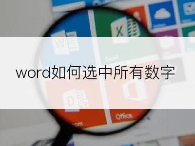 word如何选中所有数字