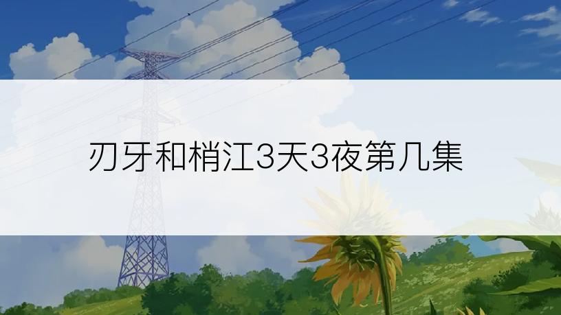 刃牙和梢江3天3夜第几集